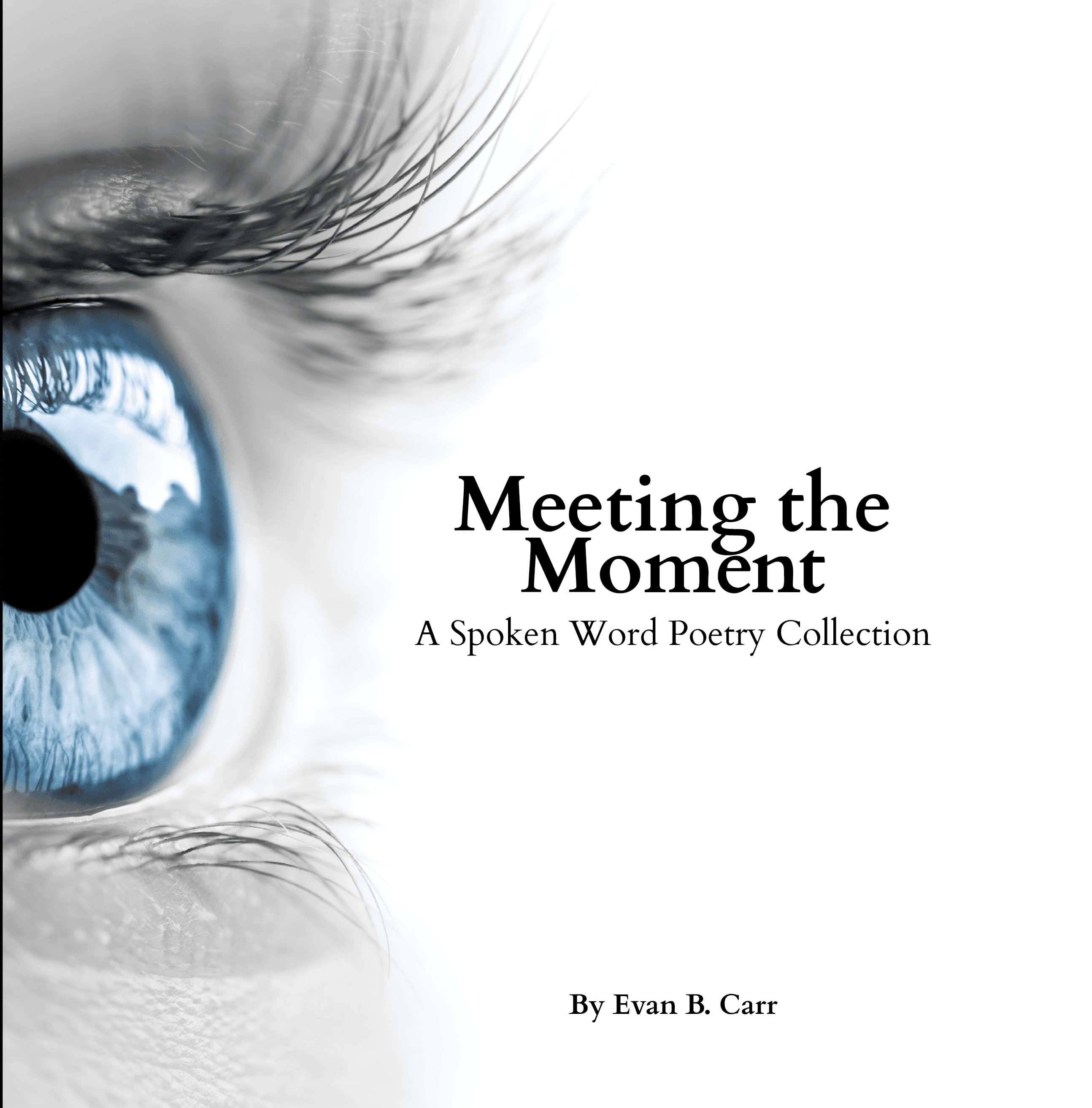 Meeting the Moment: A Spoken Word Poetry Collection
